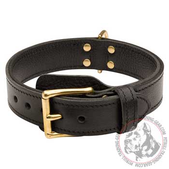 Training Leather Pit Bull Collar with Brass Hardware for its Easy Adjustment