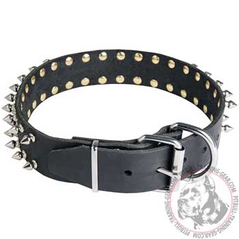 Leather Pit Bull Collar with Heavy-Duty Nickel Plated Hardware