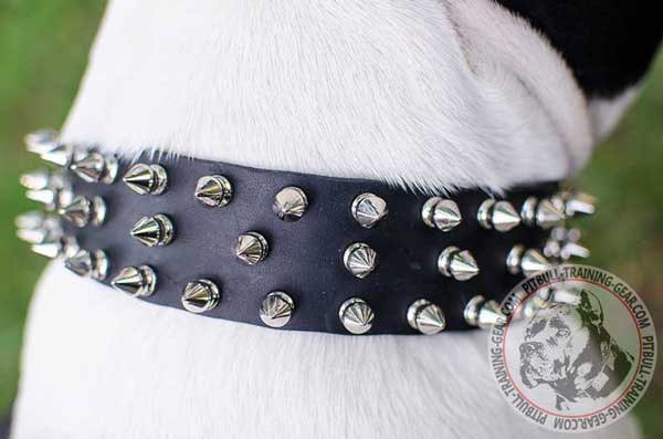 Nickel Decorations on Leather Dog Collar for Pitbull Breed