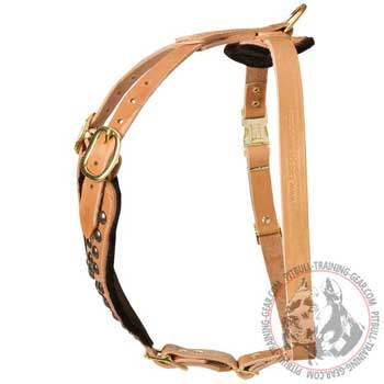Leather American Pit Bull Terrier Harness with Strong Adjustable Straps