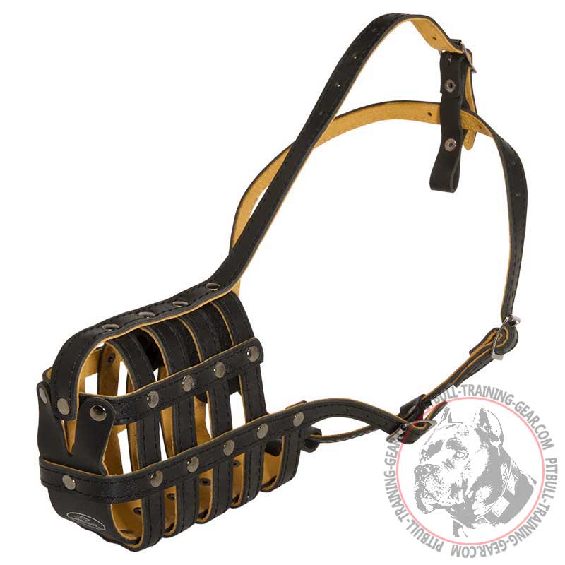 Order Adjustable Padded Leather Basket Pitbull Muzzle Dog Training