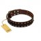 "To the Moon and Back" FDT Artisan Brown Leather Pitbull Collar with Bronze-like Star Studs
