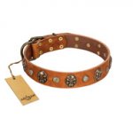 "Call of Feat" FDT Artisan Tan Leather Pitbull Collar with Old Bronze-like Studs and Oval Brooches
