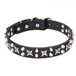 "Shining Stars" 1 1/5 inch (30 mm) Wide Pit Bull Leather Dog Collar