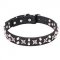 "Shining Stars" 1 1/5 inch (30 mm) Wide Pit Bull Leather Dog Collar