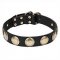"Hip and Edgy" Pit Bull Leather Dog Collar with Brass Circles - 1 1/2 inch (40 mm) wide