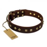 "Fashion Studs" FDT Artisan Decorated Leather Pitbull Collar with Old Bronze-Plated Steel Hardware