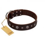 "Pure Sensation" Exclusive FDT Artisan Brown Leather Pitbull Collar with Fancy Brooches and Studs