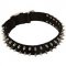 Adjustable Nylon Pitbull Collar with Nickel-Plated Spikes