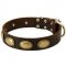 Exclusive Leather Pitbull Collar with Oval Plates