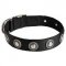 Strong Nylon Pitbull Collar Adorned with Silver-Like Conchos