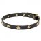 'Stamped Studs' Leather Pitbull Collar with Brass Hardware - 4/5 inch (20 mm)