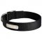 Strong Nylon Pit Bull Collar for Walking and Training with ID Tag