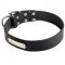 Special Adjustable Leather Collar with ID Tag for Pitbull Breed