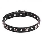 "Blazing Stars" 4/5 inch (25 mm) Decorated Pit Bull Leather Collar