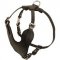 Leather Training Pit Bull Harness with Y-shaped Breast Plate