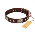 "Pirate Skull" FDT Artisan Brown Leather Pitbull Collar with Old Silver Look Plates and Skulls