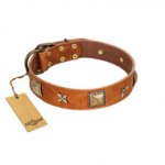 "Celtic Tunes" FDT Artisan Tan Leather Pitbull Collar Adorned with Stars and Squares