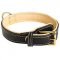 Royal Nappa Padded Hand Made Leather Pitbull Collar
