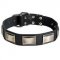 Fashion Leather Dog Collar for Pitbull with Large Nickel Plates
