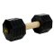 Pitbull Training Dog Dumbbell - 4 1/2 lbs (2 kg)