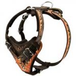 Hand Painted Leather Pitbull Harness with Handle for Proper Control
