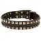Original Leather Pitbull Collar with 2 Rows of Nickel Studs