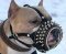 Anti-Barking Padded Leather Pitbull Muzzle with Studs and Spikes