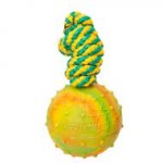 2 3/4 inch (7 cm) Dog Training Ball on a Rope - solid