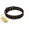 "Refined Pattern" FDT Artisan Black Leather Pitbull Collar with Two Rows of Stunning Decorations