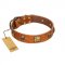 "Knights Templar" FDT Artisan Tan Leather Pitbull Collar with Skulls and Crossbones Combined with Squares