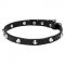 "Beauty & Elegance" Pit Bull Dog Collar with Shiny Cones 3/4 inch (20 mm) wide