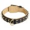 Fashion Leather Pitbull Collar with Goldish Rows of Spikes