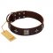 "Cold Star" Designer FDT Artisan Brown Leather Pitbull Collar with Silver-Like Adornments