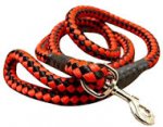 5 foot Round Nylon Leash With Brass Snap for Pitbull