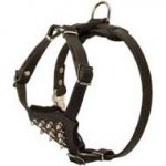 Fashionable Leather Pit Bull Puppy Harness with Spikes