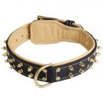 Fashion Leather Pitbull Collar with Goldish Rows of Spikes