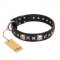 'Space Walk' FDT Artisan Pitbull Black Leather Dog Collar with Adornments for Daily Use