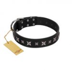 "Polar Lights" Designer FDT Artisan Black Leather Pitbull Collar with Silver-Like Studs