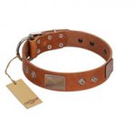 "Great Obelisk" Handcrafted FDT Artisan Tan Leather Pitbull Collar with Large Plates and Pyramids