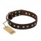 "Bronze Sheen" FDT Artisan Leather Pitbull Collar with Brass-Plated Studs