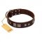 "Object of Virtu" FDT Artisan Brown Leather Pitbull Collar with Old Silver-like Square Studs and Pyramids