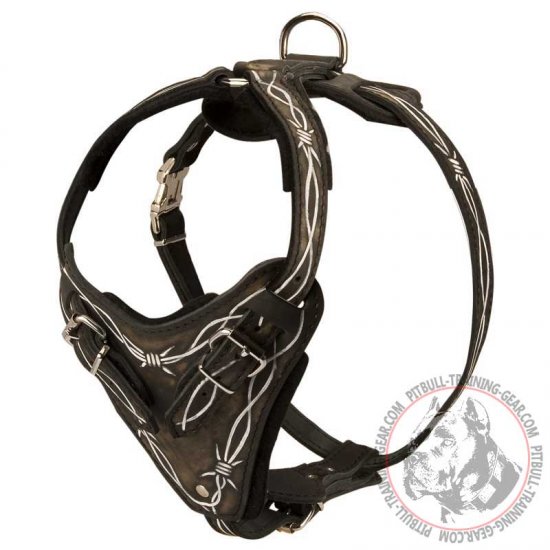 pitbull harness with handle