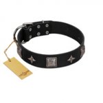 "Black Cavalier" Handmade FDT Artisan Black Leather Pitbull Collar with Silver-Like Stars and Large Plates