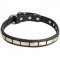 Exceptional Leather Pitbull Collar with Brass Plates for Walking