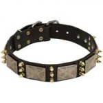 Gorgeous Leather Pitbull Collar