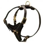Reliable Padded Pitbull Leather Harness for Walking and Tracking