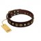 "Street Fashion" FDT Artisan Brown Leather Pitbull Collar Adorned with Circles and Skulls