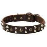 Stylish Leather Pitbull Collar Decorated with Studs and Pyramids
