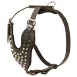 Walking Leather Pit Bull Harness with Exclusive Pyramids